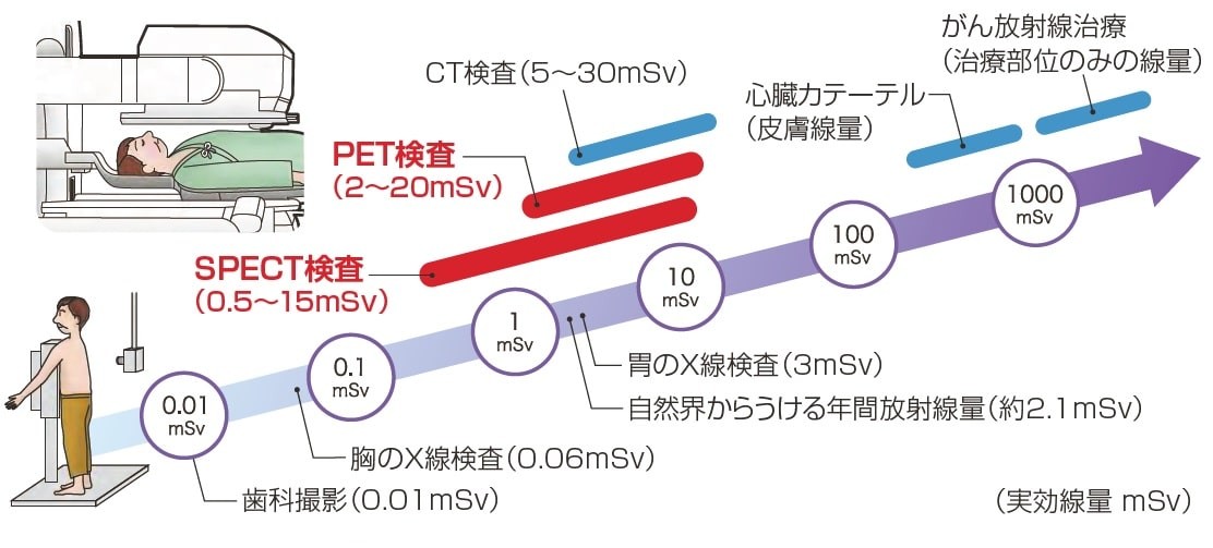 放射線の影響の図