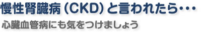 慢性腎臓病（CKD)と言われたら・・・心臓血管病にも気をつけましょう画像